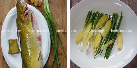 ε jushipu.com