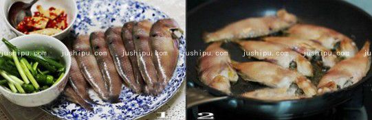  jushipu.com