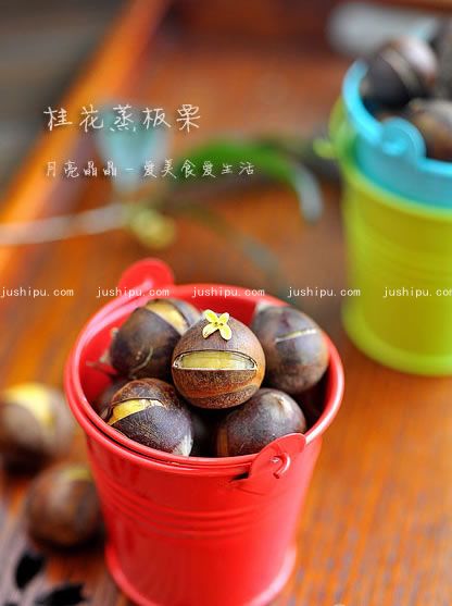  jushipu.com