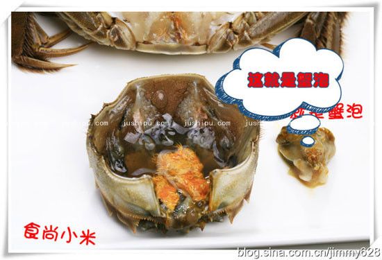 зħ jushipu.com