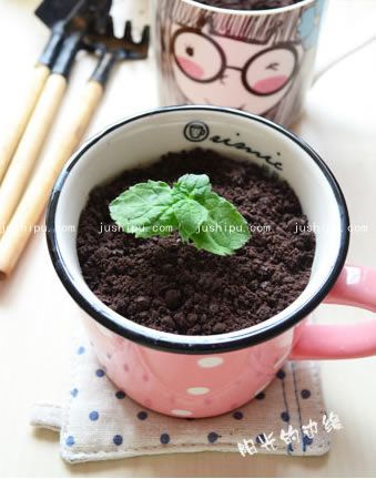 盆栽椰奶冻的做法 jushipu.com