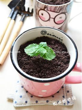 盆栽椰奶冻的做法 盆栽椰奶冻的做法