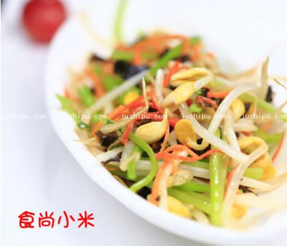 ˬС˵ jushipu.com